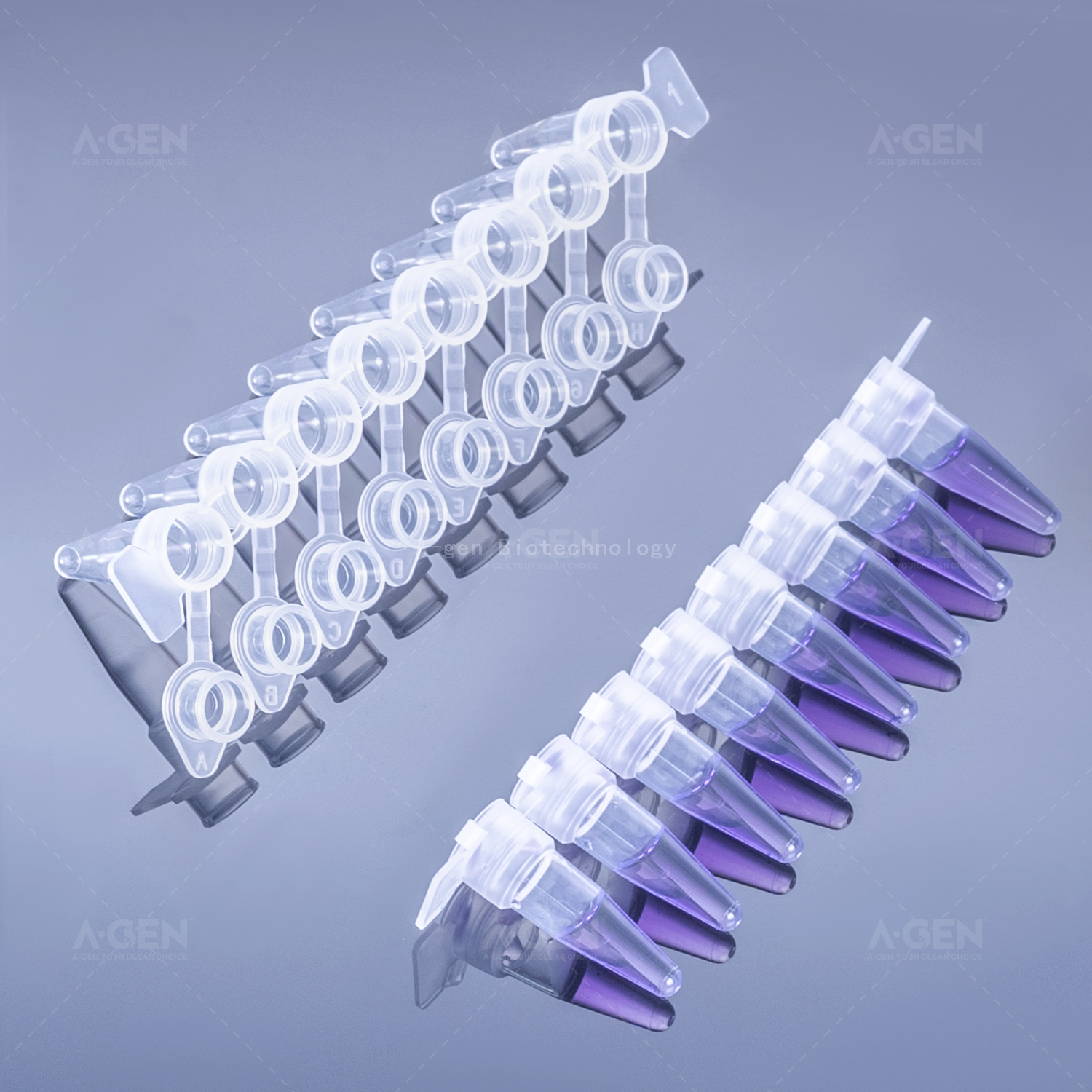 PCR-02-8 200uL 透明非无菌 0.2mL 8 条带连接盖的 PCR 管
