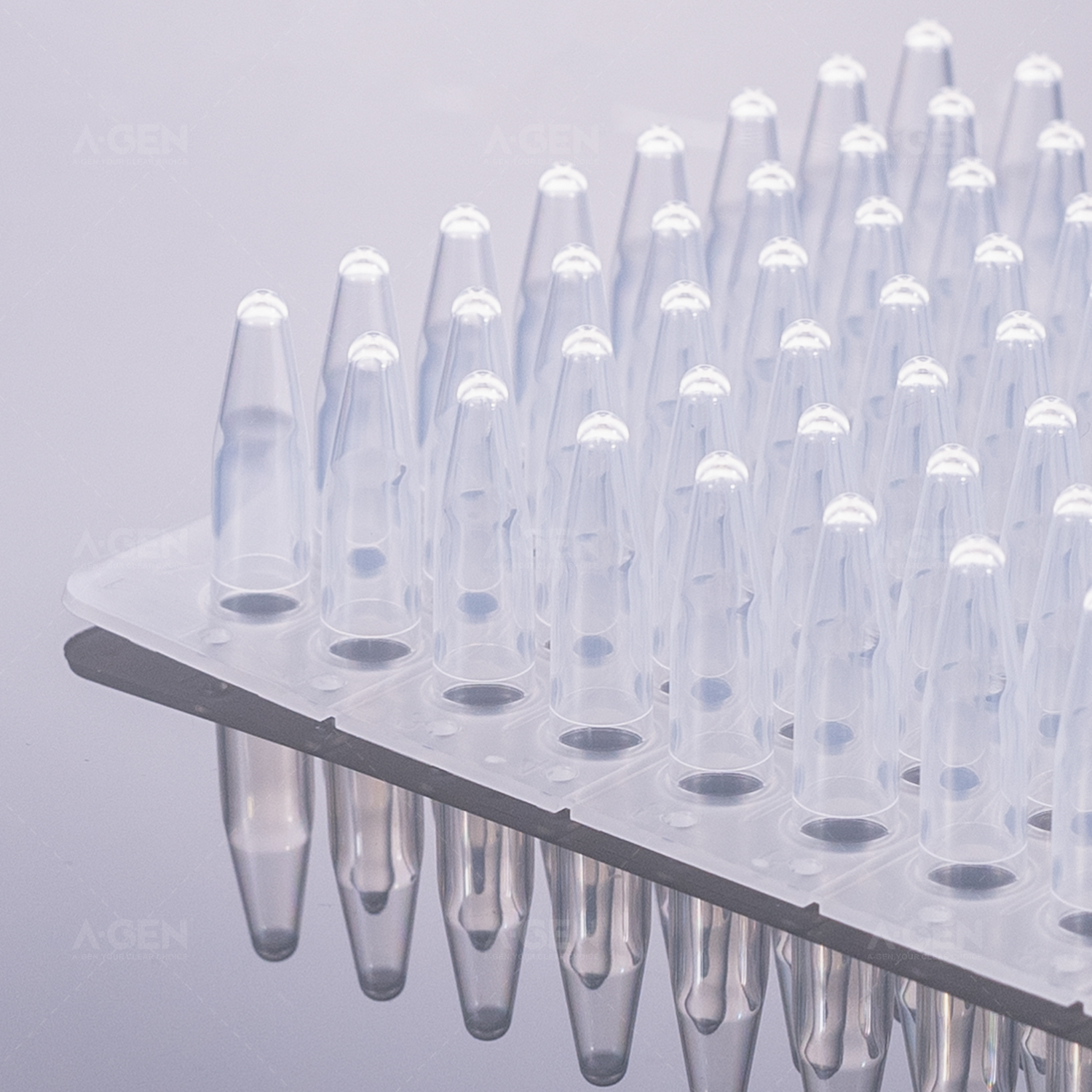 0.2mL 96 PCR，透明，无裙边