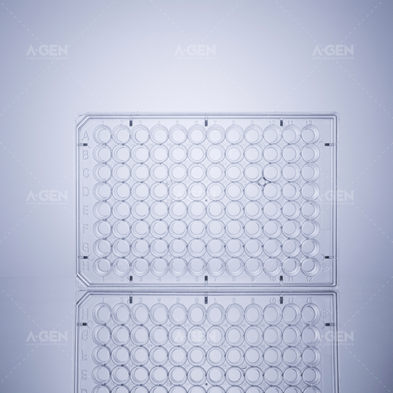 96孔透明底透明板 透明盖 TC处理 灭菌 吸塑盒装