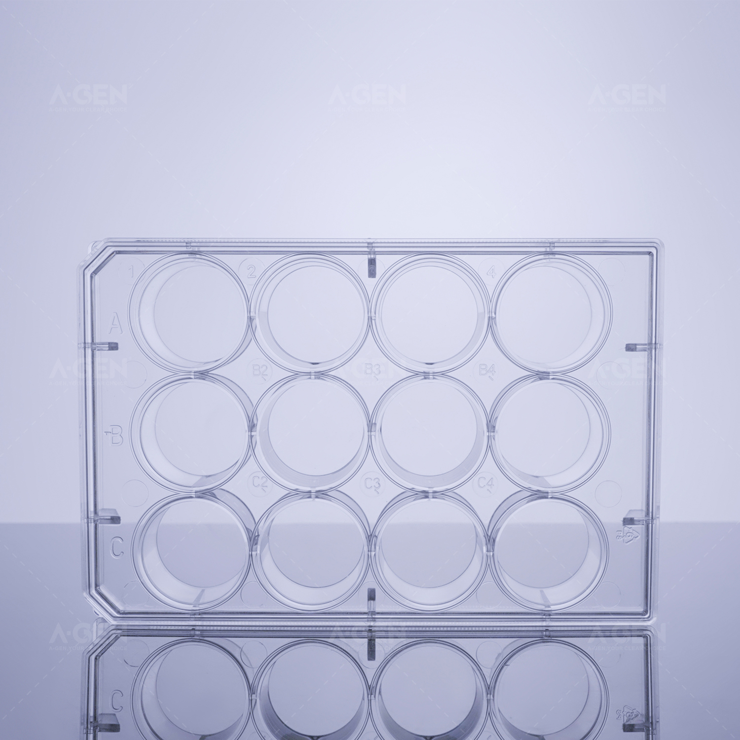 细胞培养透明板 透明盖 TC处理 灭菌 吸塑盒装 可选（6孔、12孔、24孔、48孔）