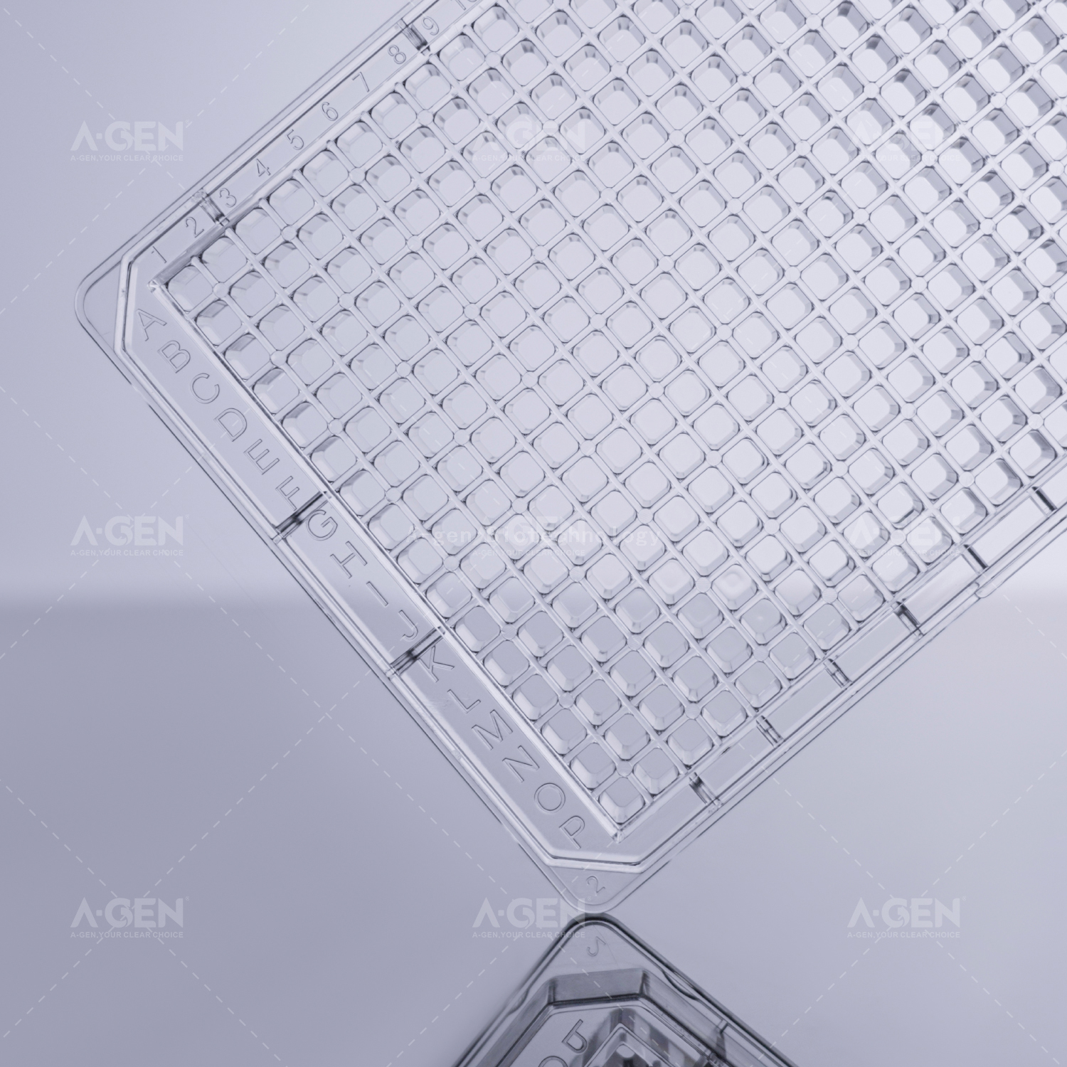 384孔透明底透明板透明盖TC处理灭菌吸塑盒